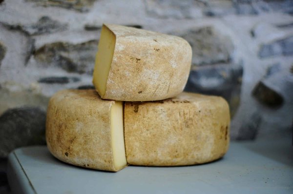Où apprendre la fabrication de fromage de chèvre en Provence, France?